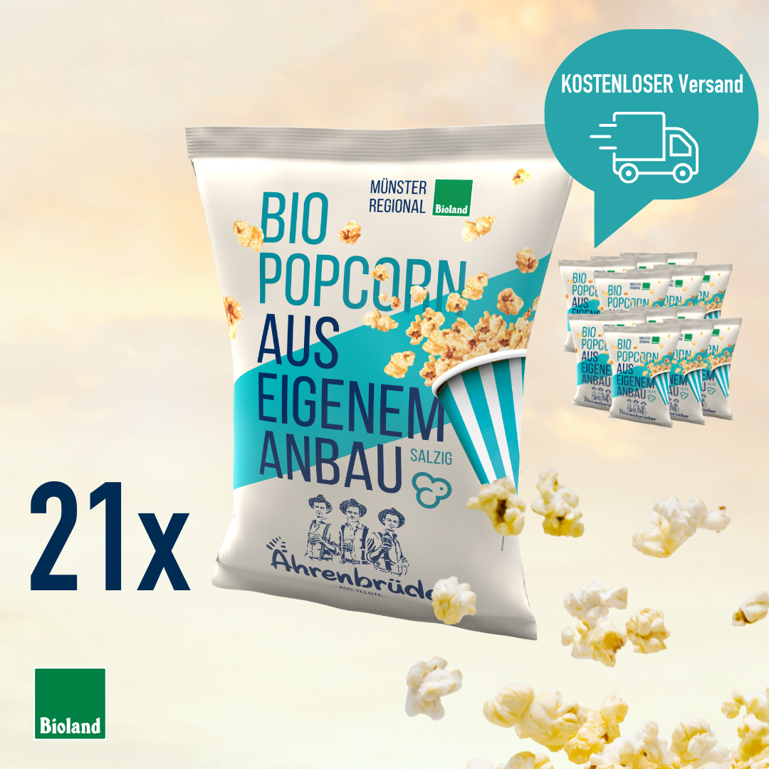 Bio Popcorn Salzig