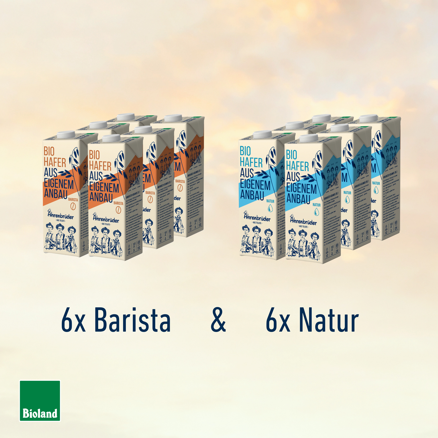 Bio Haferdrink Mix