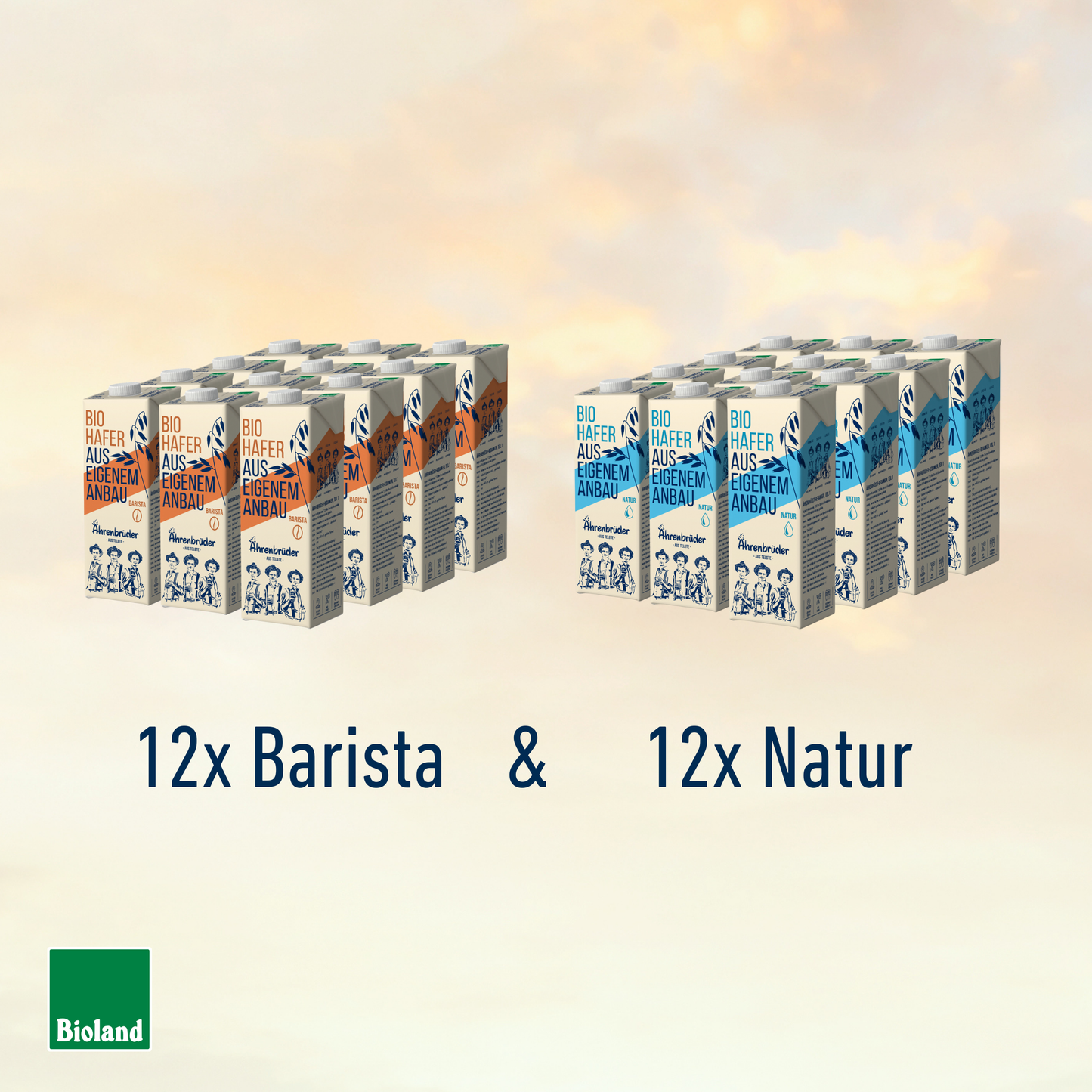 Bio Haferdrink Mix
