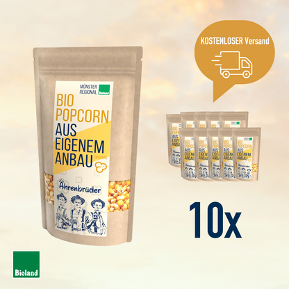 Bio Popcorn Mais Original