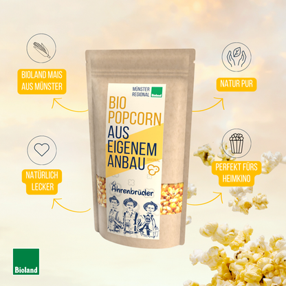 Bio Popcorn Mais Original